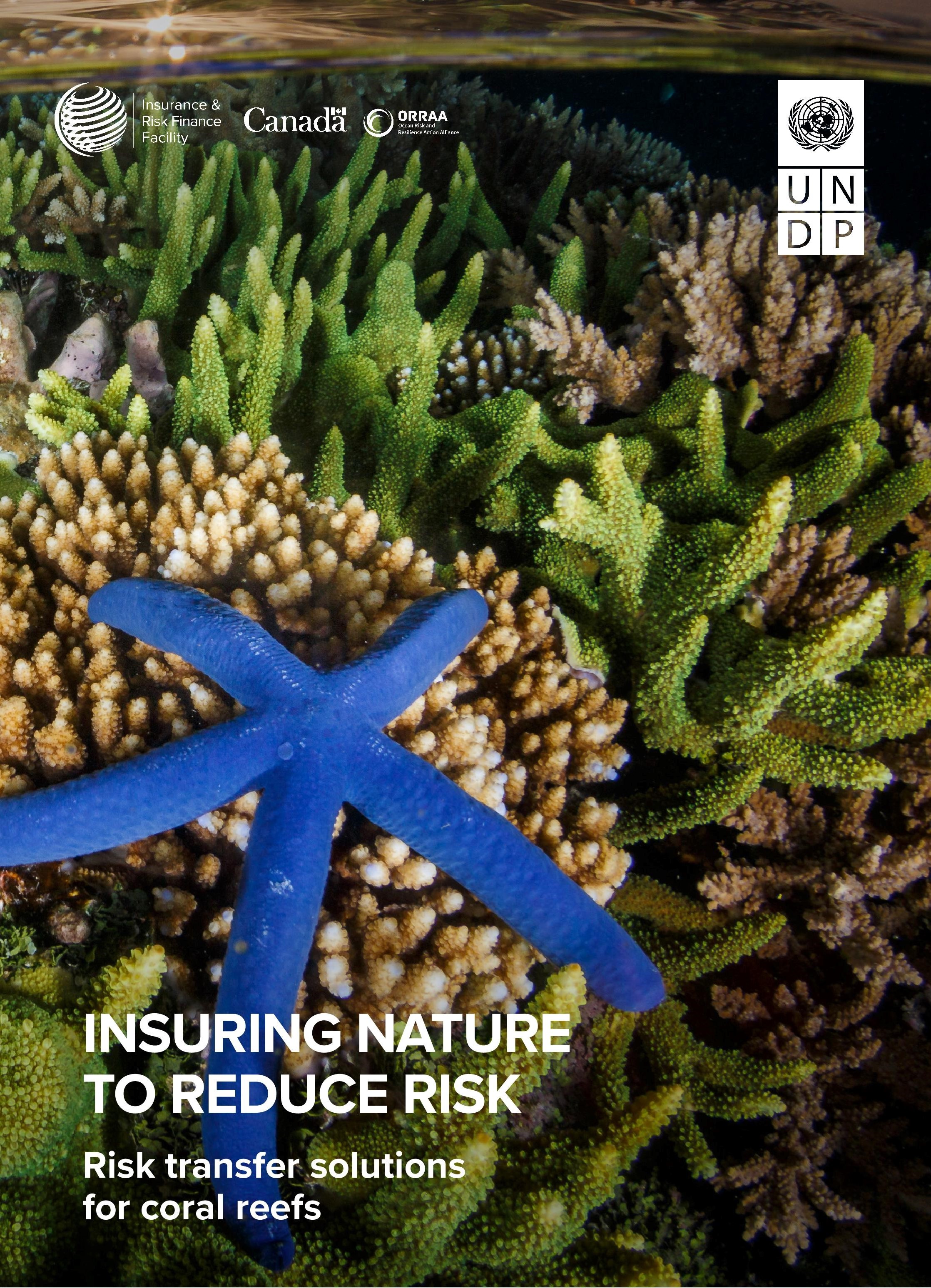 Cover of the report Insuring Nature to Reduce Risks. Risk Transfer Solutions for Coral Reefs