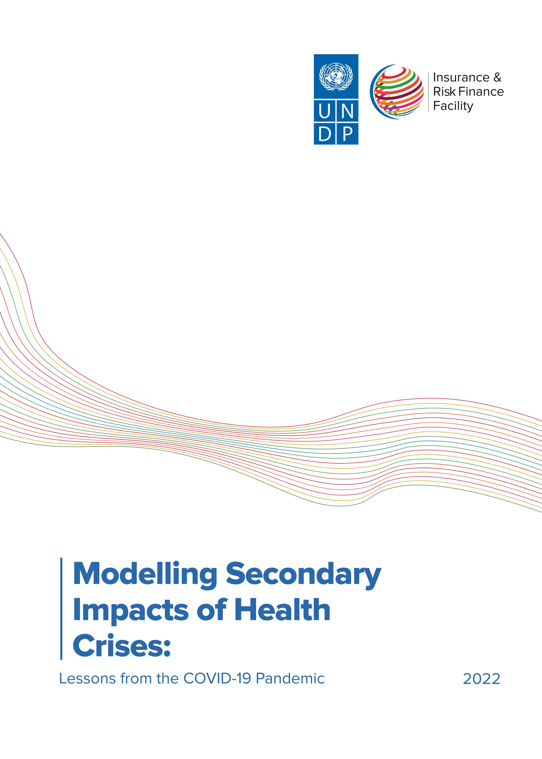 Modelling Secondary Impacts of Health Crises