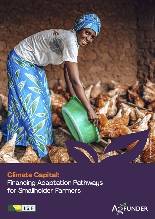 Picture of Climate Capital: Financing Adaptation Pathways for Smallholder Farmers