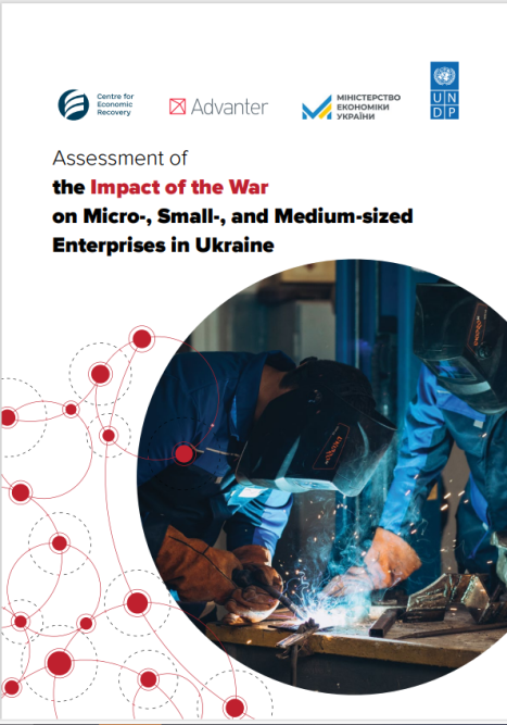 Assessment of the Impact of the War on Micro-, Small-, and Medium-sized Enterprises in Ukraine