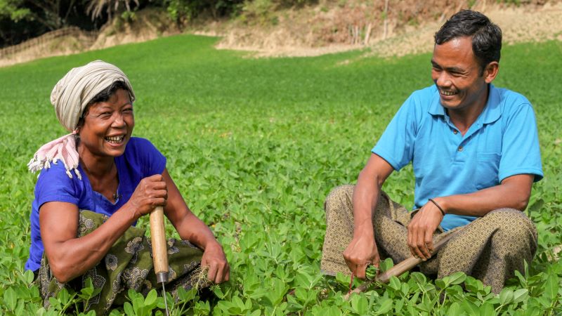 Picture of UNDP and the Bill and Melinda Gates