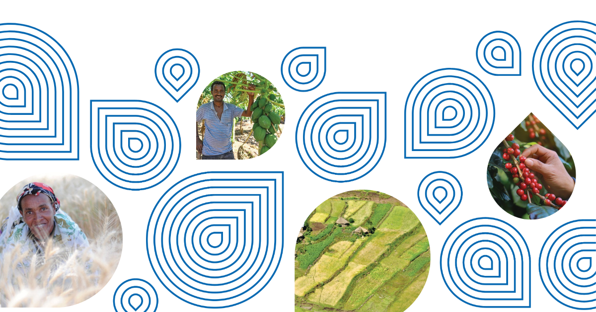 UNDP Financial Resilience in Agriculture Community of Practice 2025 Ethiopia