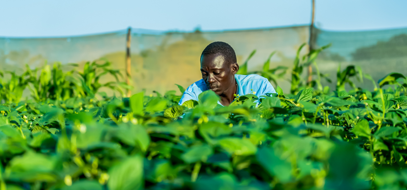 Senegal champions youth innovation for resilient food systems