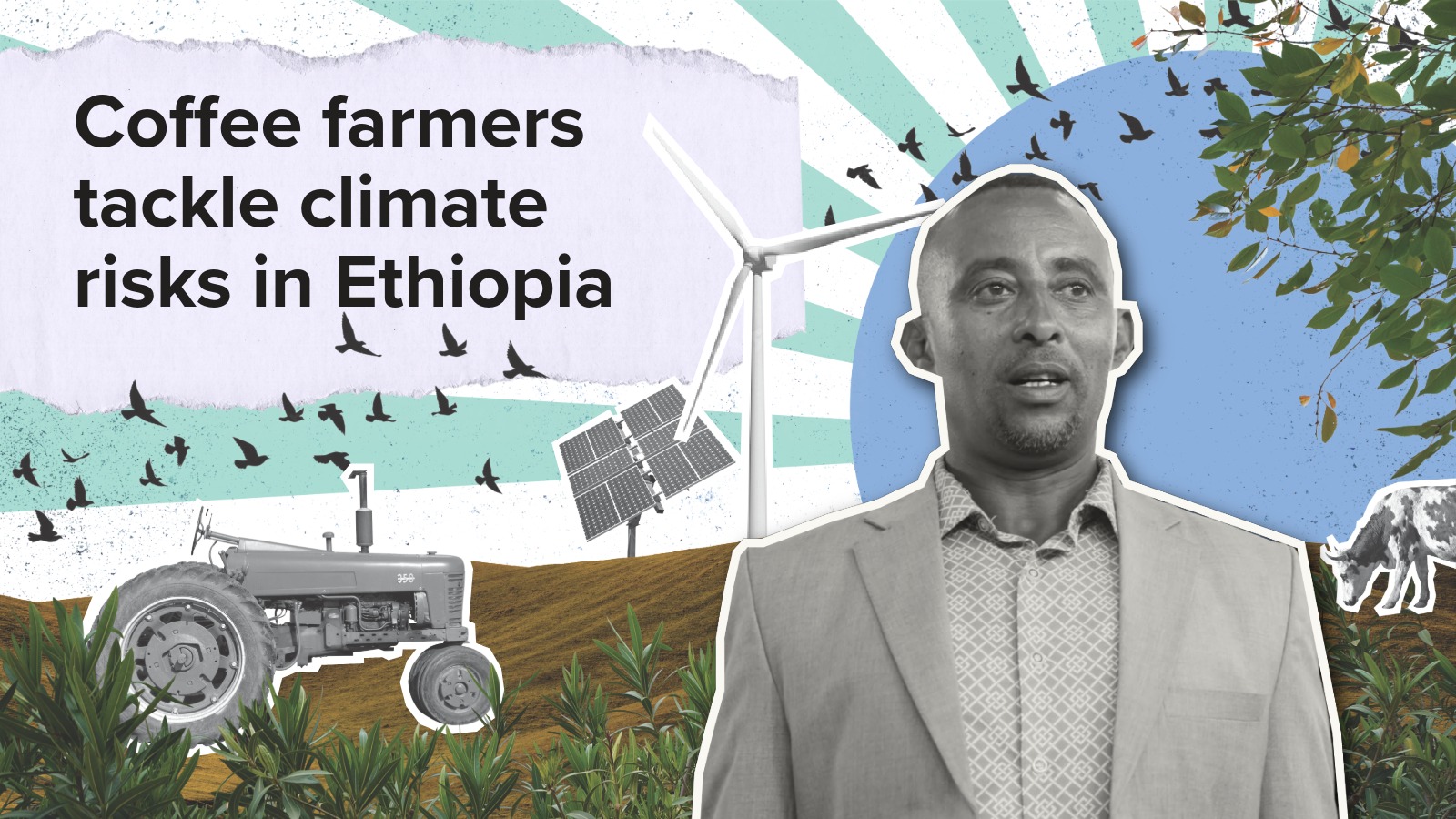 Coffee farmers tackle climate risks in Ethiopia