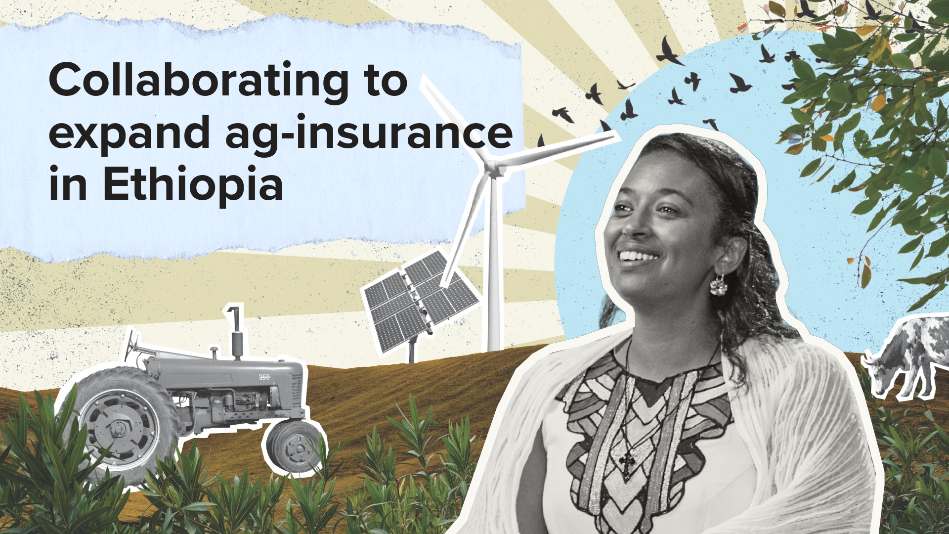 Collaborating to expand agricultural insurance in Ethiopia