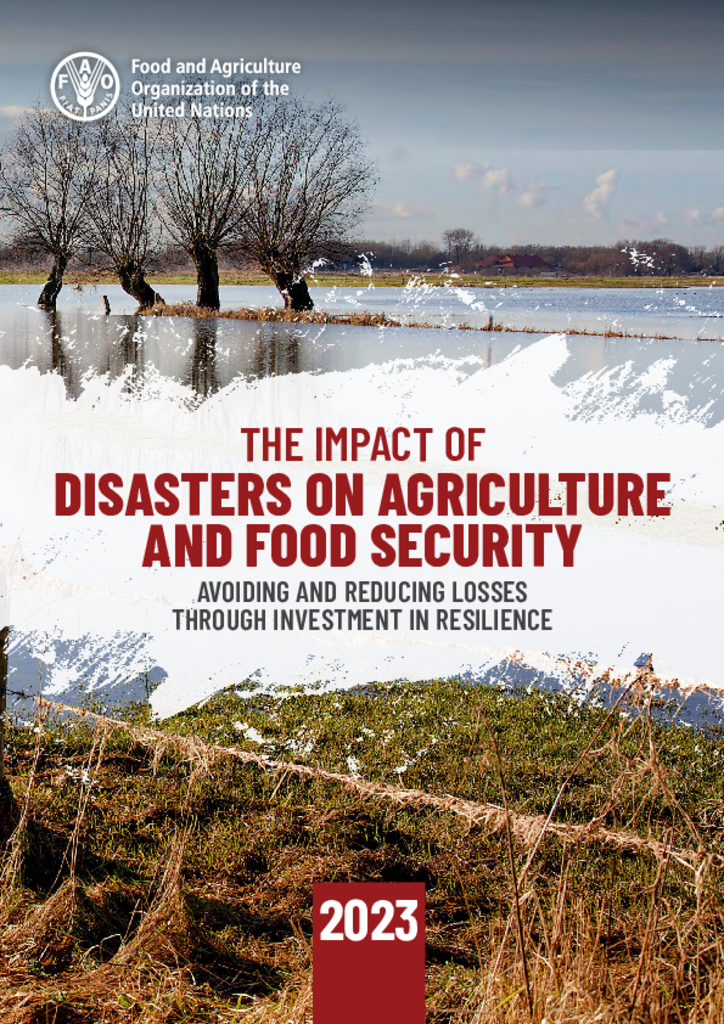 Picture of The Impact of Disasters on Agriculture and Food Security 2023