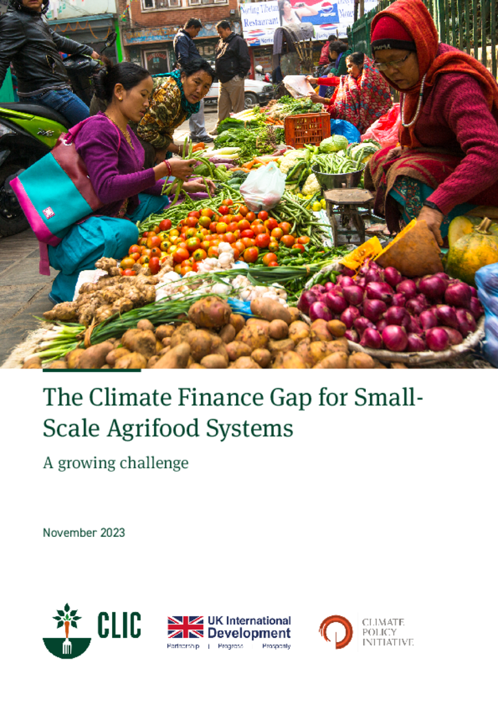 Picture of The Climate Finance Gap for Small-Scale Agrifood Systems