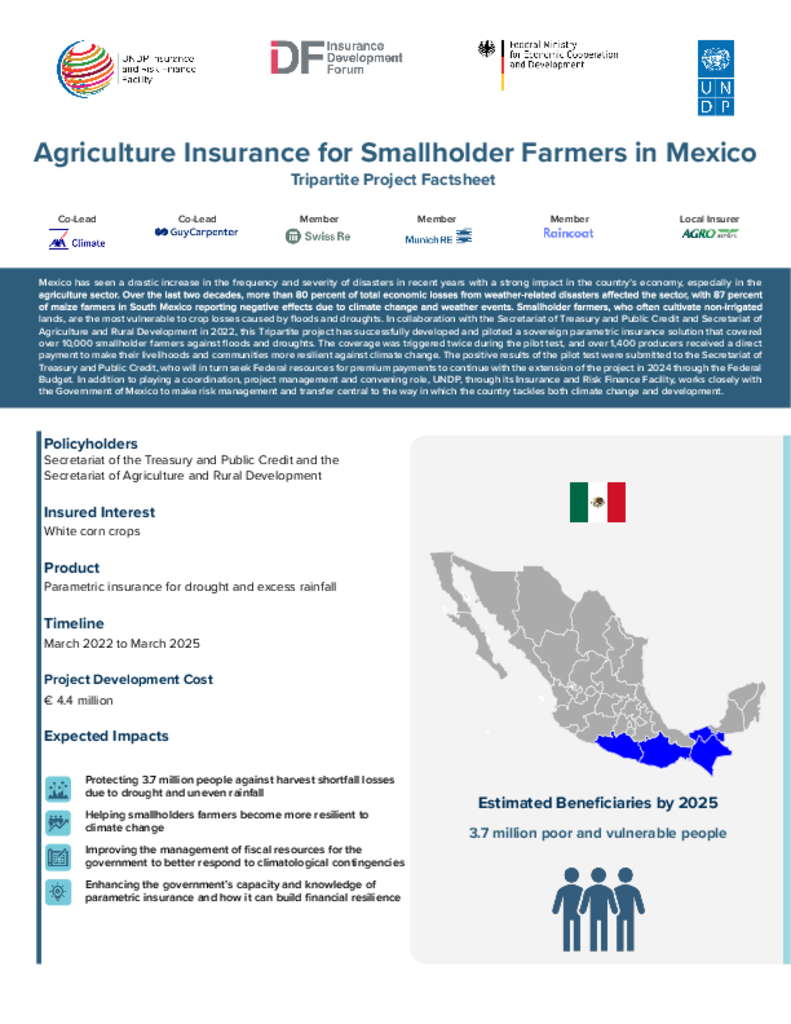 Picture of Agriculture Insurance for Smallholder Farmers in Mexico