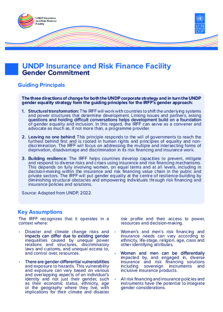 Picture of UNDP Insurance and Risk Finance Facility Gender Commitment