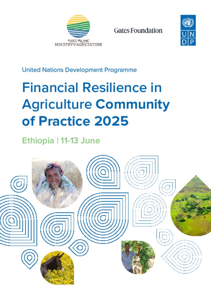 Picture of UNDP Financial Resilience in Agriculture Community of Practice 2025: High-level Summary