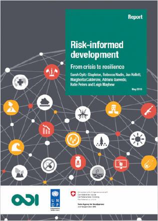 Risk Informed Development: From crises to reslience
